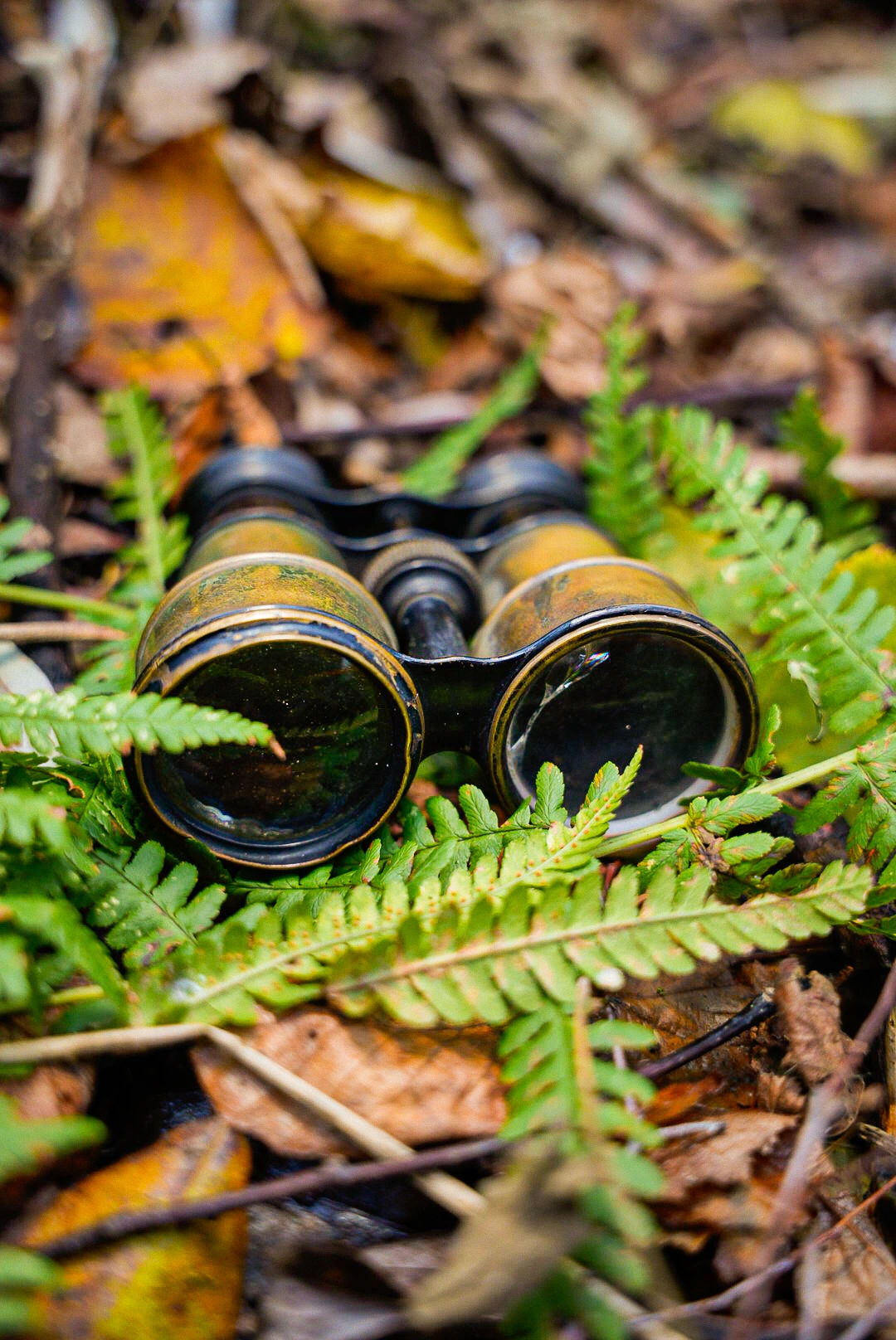 Lifestyle foto van een verrekijker in het bos
